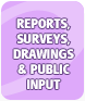 Reports & Public Input